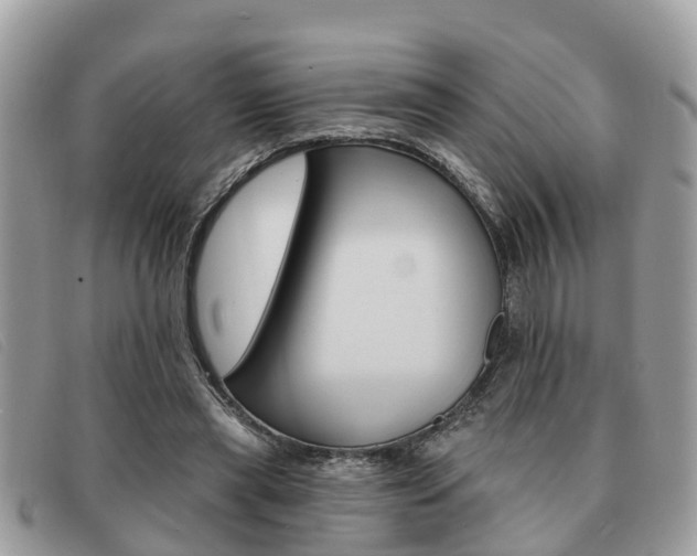 X0000091590445200708200955