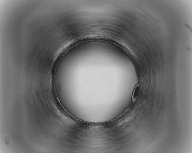 X0000091590446200708200956