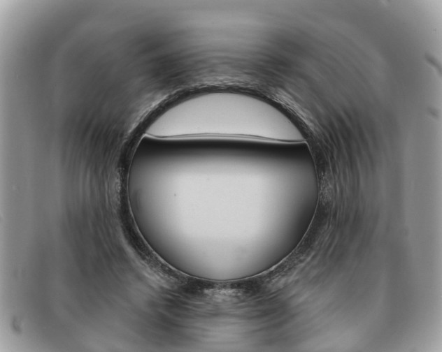 X0000091590448200708200956