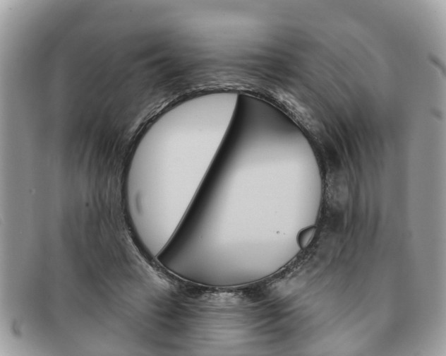 X0000091590449200708200956