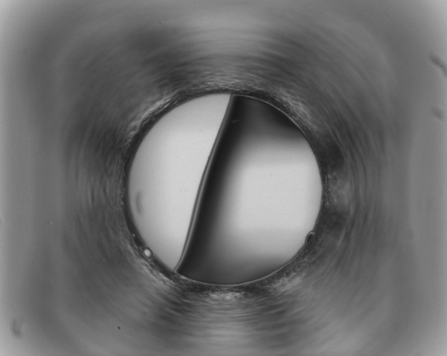 X0000091590450200708200956