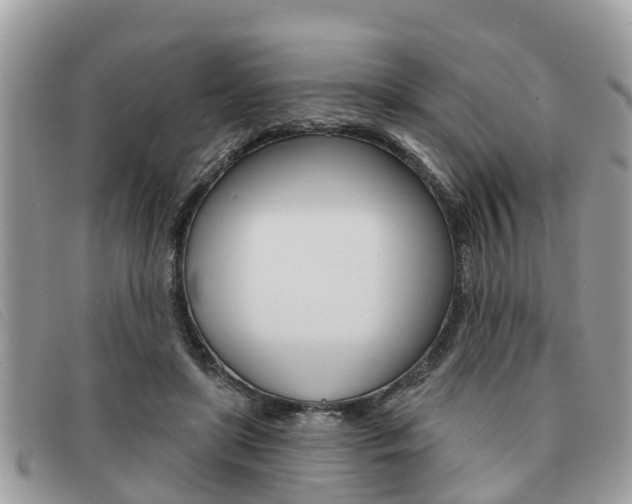 X0000091590451200708200956