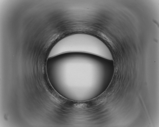 X0000091590452200708200956