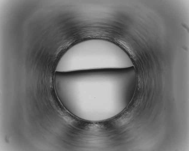 X0000091590453200708200956