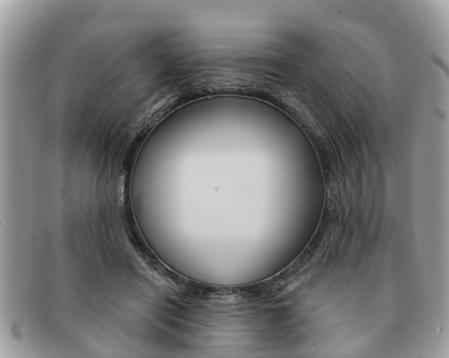 X0000091590454200708200956