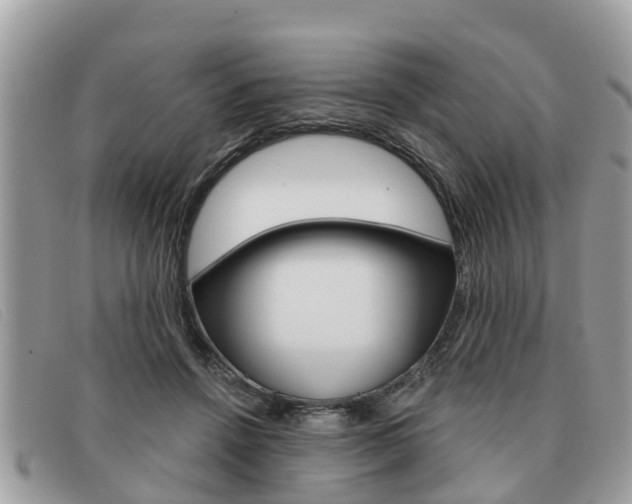 X0000091590456200708200956