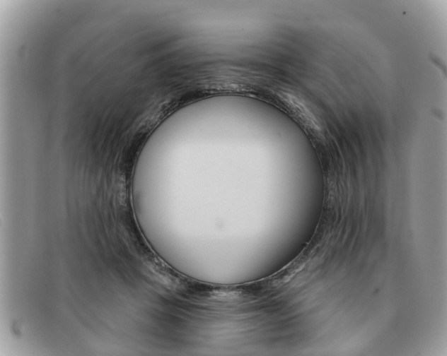 X0000091590457200708200956