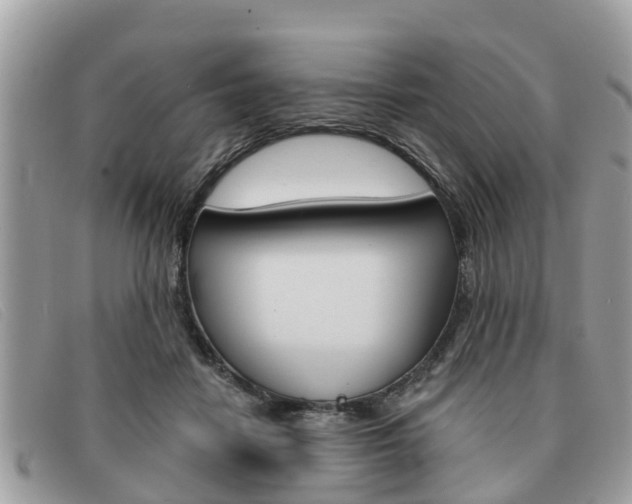 X0000091590458200708200956