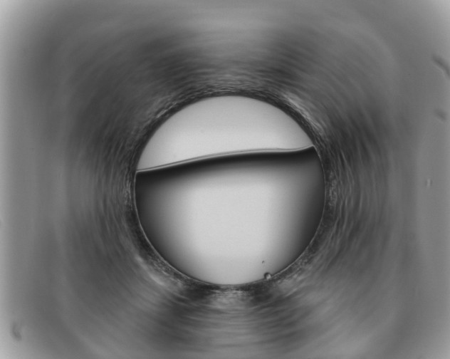 X0000091590459200708200956