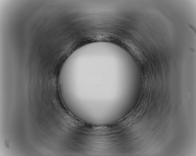 X0000091590461200708200956