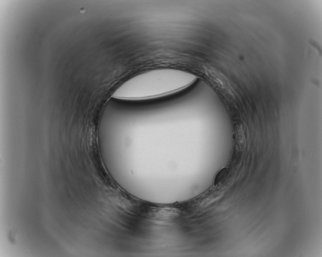 X0000091590463200708200956