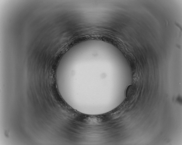 X0000091590464200708200956