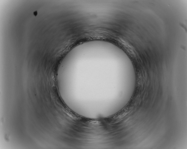 X0000091590465200708200956