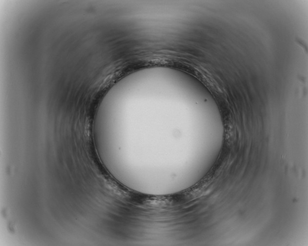 X0000091590466200708200956