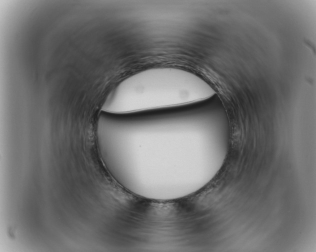 X0000091590469200708200956