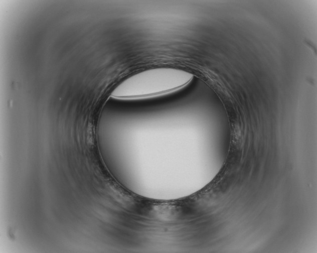 X0000091590470200708200956