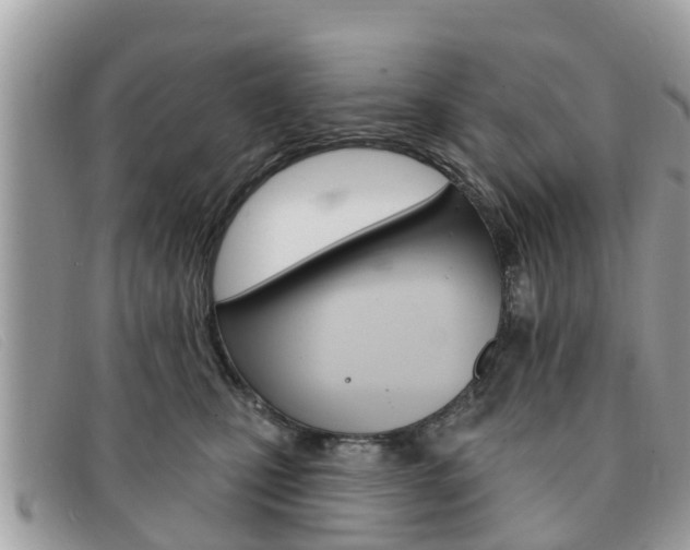 X0000091590471200708200956