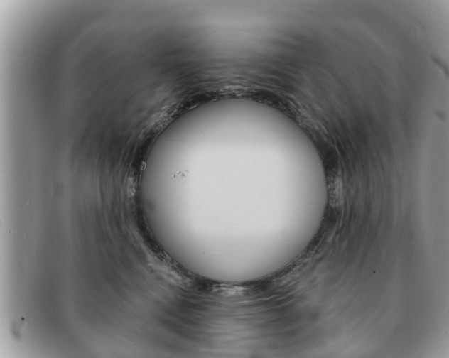 X0000091590472200708200956