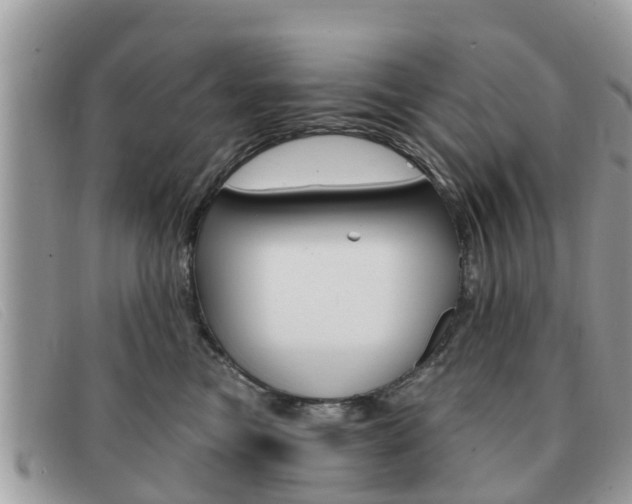 X0000091590473200708200956