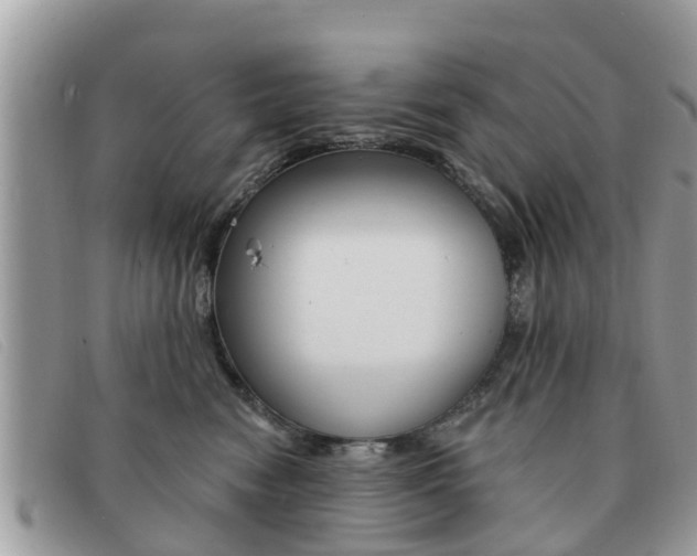 X0000091590474200708200956