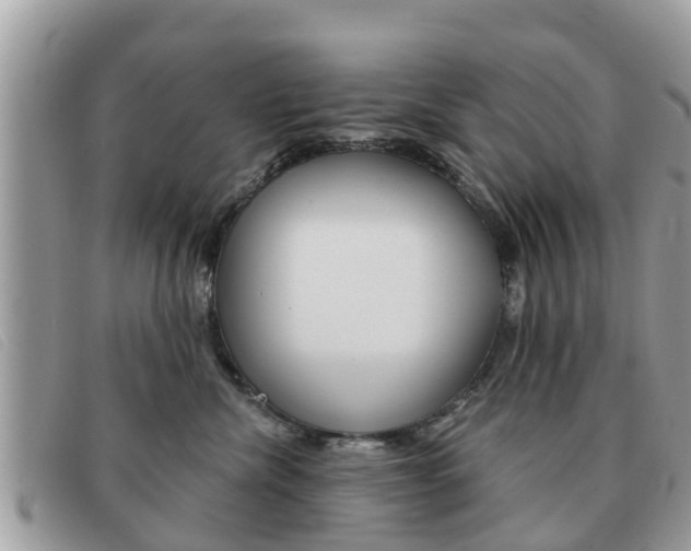 X0000091590476200708200956