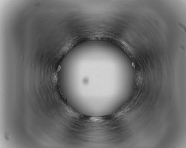 X0000091590477200708200956