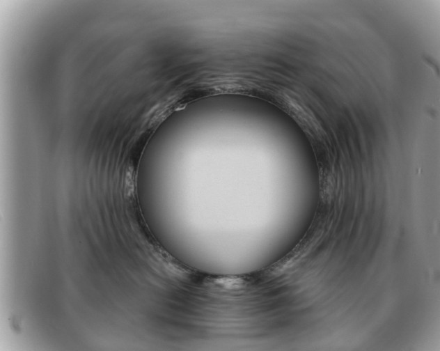 X0000091590478200708200956