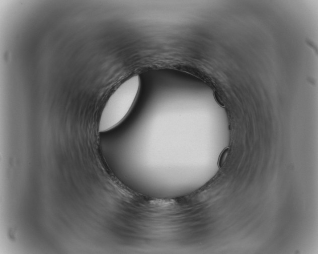 X0000091590480200708200956