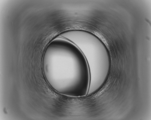 X0000091590481200708200955