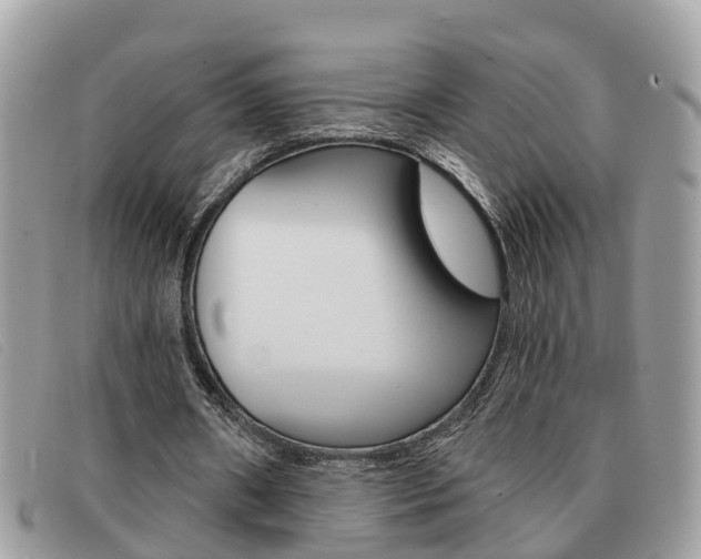 X0000091590482200708200955