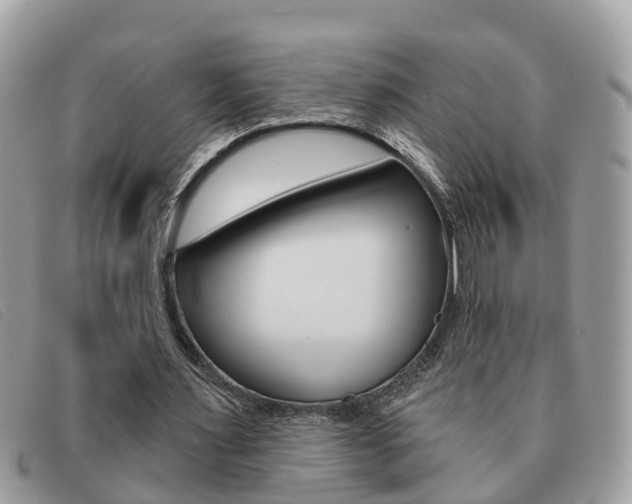 X0000091590483200708200955
