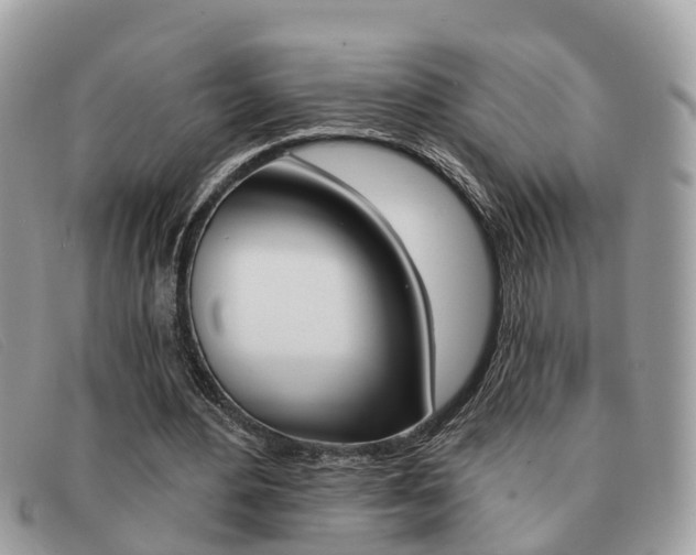 X0000091590484200708200955