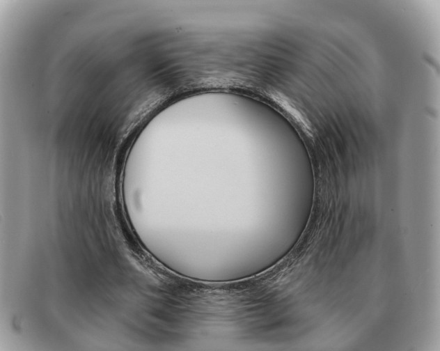 X0000091590486200708200955