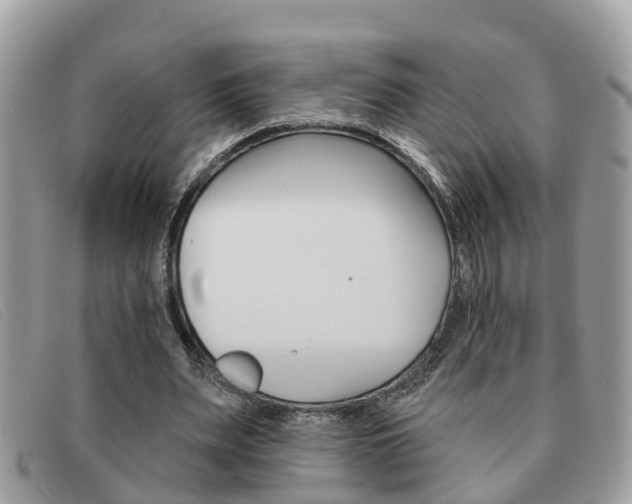 X0000091590487200708200955