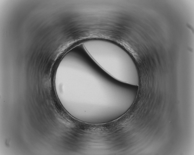 X0000091590488200708200955