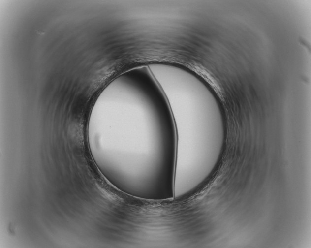 X0000091590489200708200955