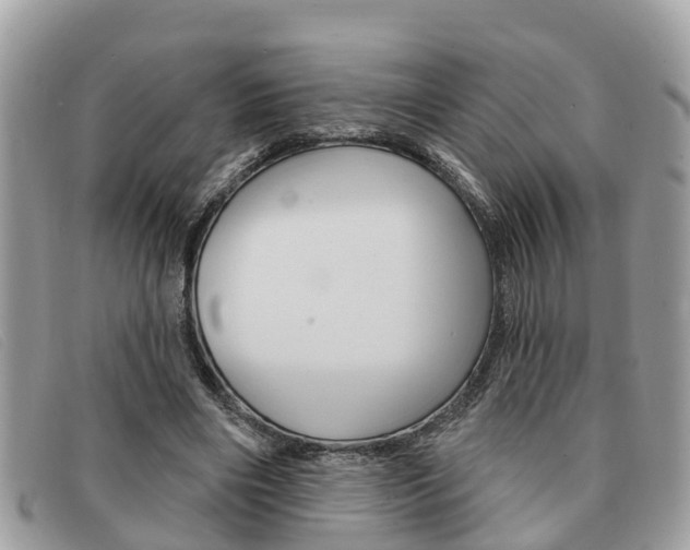 X0000091590490200708200955