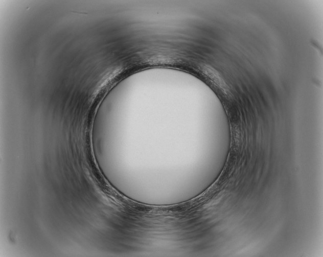 X0000091590491200708200955