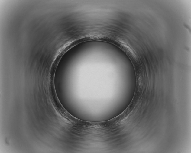 X0000091590492200708200955