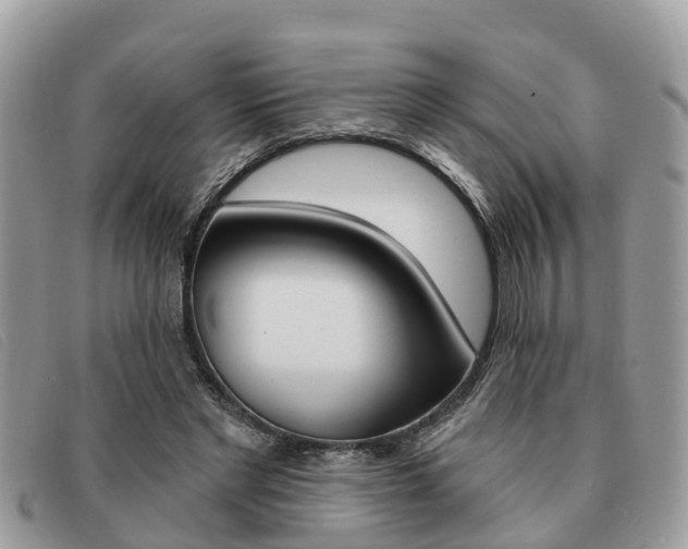 X0000091590493200708200955