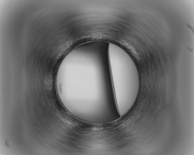 X0000091590496200708200955