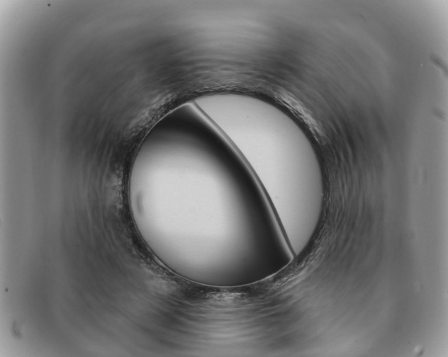 X0000091590497200708200955