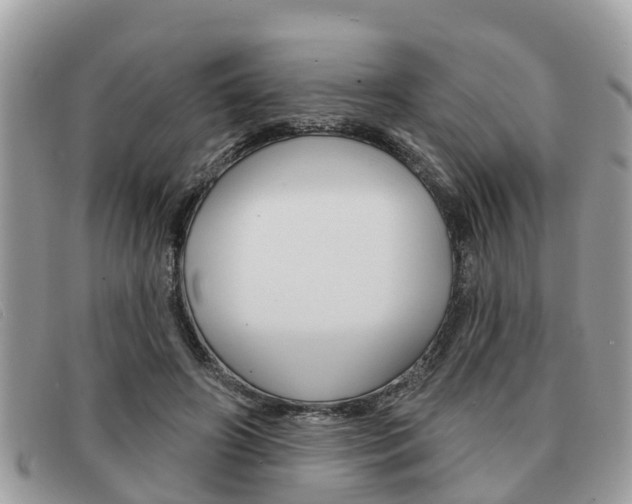 X0000091590498200708200955