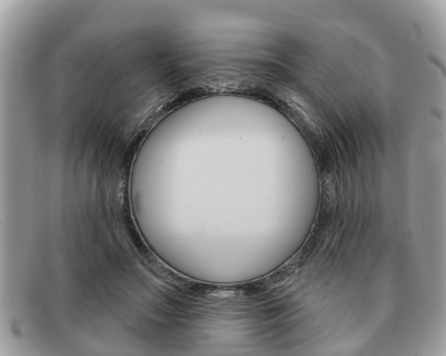 X0000091590499200708200955