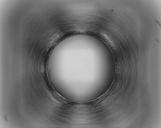 X0000091590500200708200955