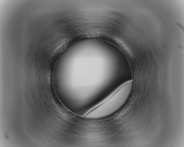 X0000091590501200708200955