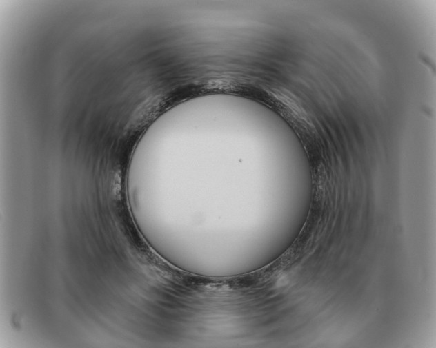 X0000091590502200708200955