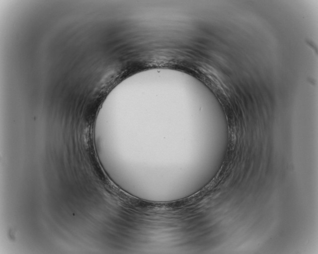 X0000091590503200708200955