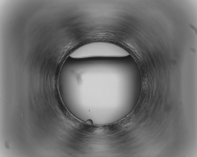 X0000091590504200708200955
