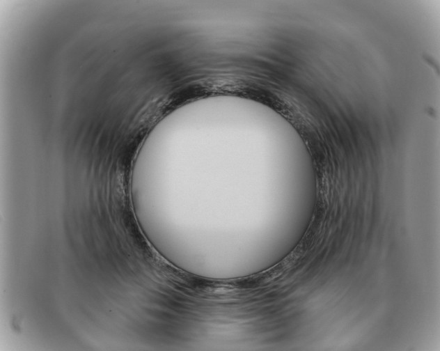 X0000091590506200708200955